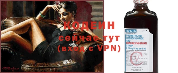 индика Слюдянка