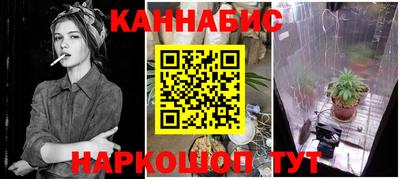 хмурый Гатчина
